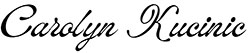 Constellation logo